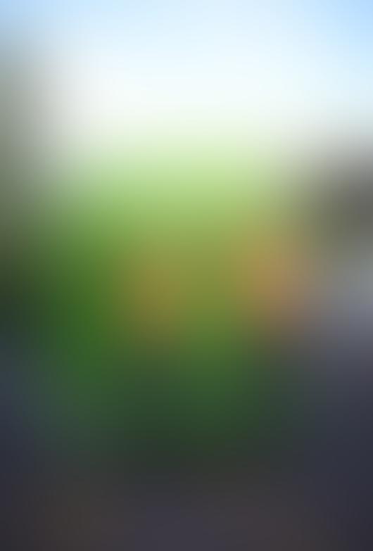 backgrounds